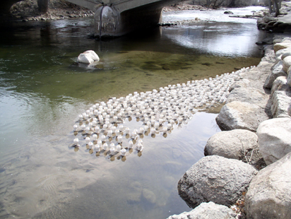 Arkansas River Installation Salida, Colorado